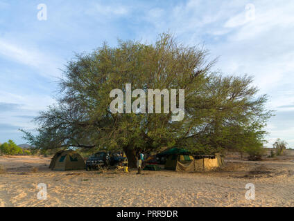 Tourists camping in the bush under a giant tree, Namibe Province, Virei, Angola Stock Photo