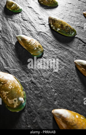 Calm shells background on the stone table. Free space for text . Top view Stock Photo