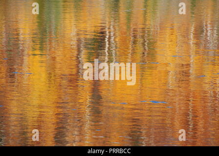 The reflection of autumn trees in moving water, creating an abstract and blurry background in the tones of golden, yellow, red, brown, green  and whit Stock Photo