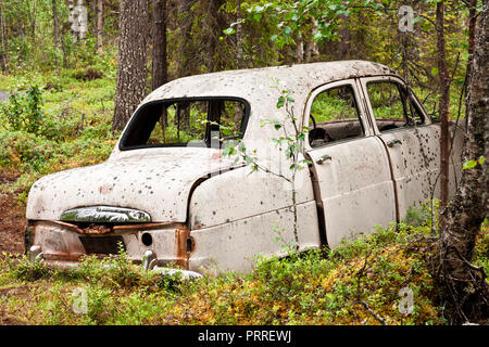Abandoned rusted car deep in the forest Stock Photo