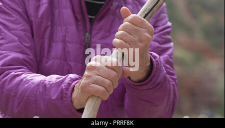 Close up of elderly womans hands grabbing onto wooden branch Stock Photo