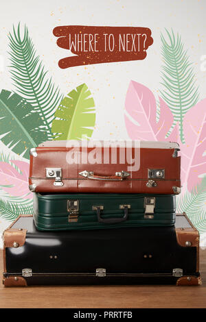 Stacked old leather travel bags with palm leaves illustration Stock Photo