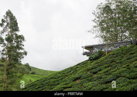 Cameron Highlands, Malaysia - 30 December 2016: Sungai Palas BOH Tea House, one of the most visited tea house by tourists in Cameron Highland, Malaysi Stock Photo