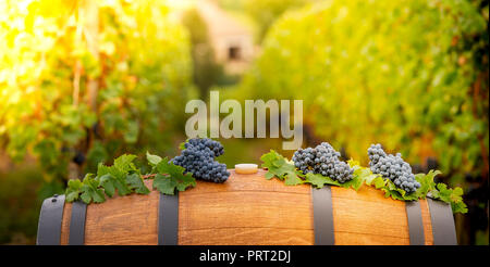 Pouring red wine into the glass, Barrel outdoor in Bordeaux Vineyard Stock Photo