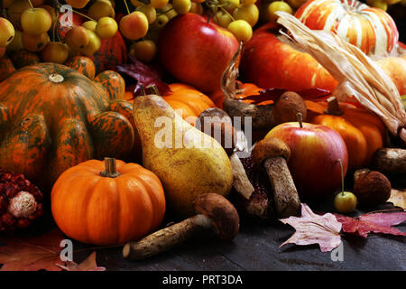 Autumn nature concept. Fall fruit and vegetables on wood. Thanksgiving dinner. Pears and pumpkin with sunflowers and apples Stock Photo