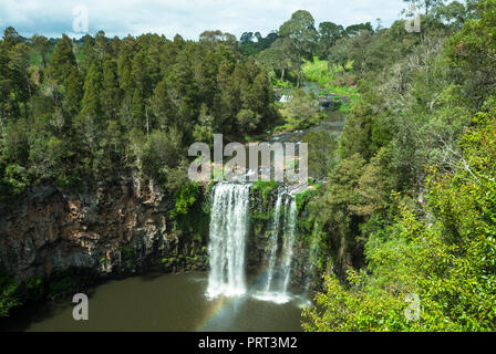 A view of Dangar Falls with a rainbow as the cascade falls into a pool beneath, surrounded by forest at Dorrigo National Park, Australia. Stock Photo