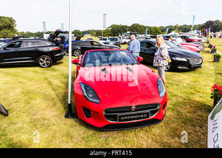 Looking for new car, car hunting, car shopping, choosing new car, new car at garage, garage forecourt, buying new car, new car, Jaguar, buying, choose Stock Photo
