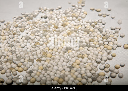 Macro of silica gel balls laying on white background.Its use to prevent mold, mildew, corrosion, odours and other moisture damage Stock Photo