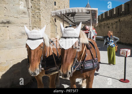Tourists,take,a,horse,drawn,carriage,Carcassonne,Carcassone,Castle,Fort,Ramparts,Aude,province,region,South of France,France,French,Europe,European, Stock Photo