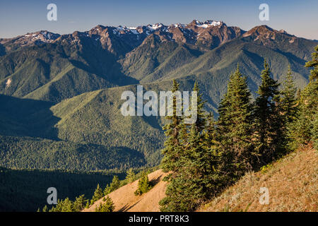 Mount Carrie (center), Mount Olympus (left), view in mid-September from Hurricane Ridge, Olympic National Park, Washington state, USA Stock Photo