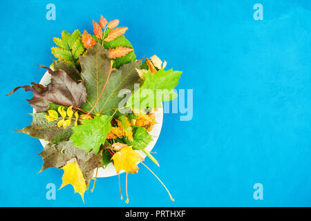 Autumn flat lay composition. Autumn still life on white plate over blue background with copy space Stock Photo