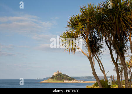 Palm trees and St. Michaels Mount, Marazion,Cornwall, UK Stock Photo
