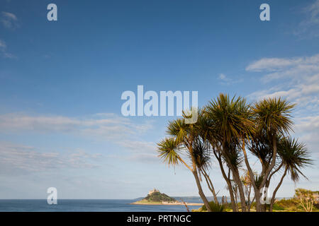 Palm trees and St. Michaels Mount, Marazion,Cornwall, UK Stock Photo