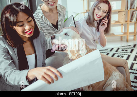 young multiethnic businesswomen in formal wear fooling around with dog at office Stock Photo