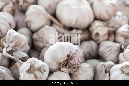 Pile of white garlic bulb laying on a counter in a marketplace, close-up photo Stock Photo