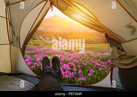 View from tourist tent on mountains. Summer season of flowering rhododendron. Guy is resting in campsite Stock Photo