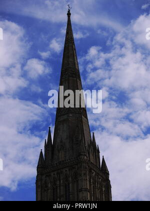 Salisbury Cathedra, Wiltshire, U.K. Stock Photo