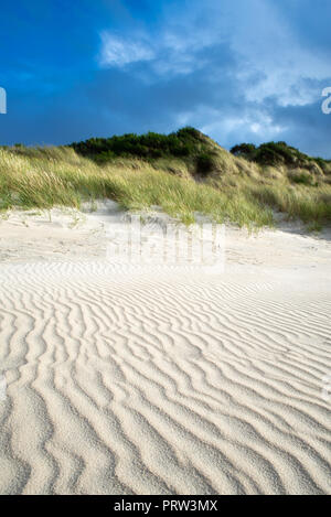 Background Image of Beach with Pristine White Sand, Dunes and Dramatic Sky with Copy Space Stock Photo