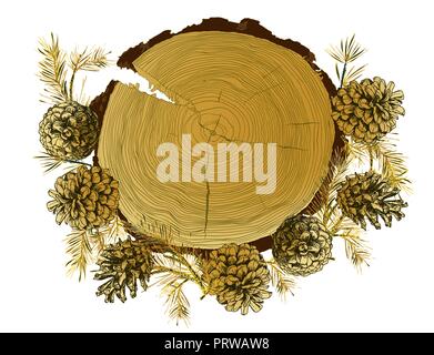 Card template with realistic botanical ink sketch of fir tree branches, gold pinecone and tree ringg trunk on white background Stock Vector