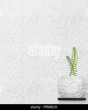 Seamless texture stone concrete, rock plastered stucco wall. White pot with green leaves on rough grain surface background, white cement Stock Photo