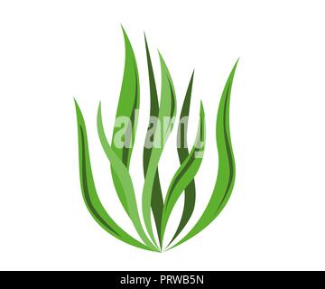 Spirulina algae icon on white background. Vector Illustration. Stock Vector