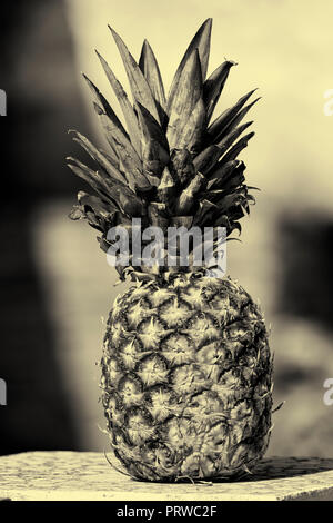 Pineapple.  Ananas comosus. Stock Photo
