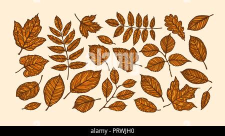 Autumn, leaf fall concept. Decorative tree leaves. Vector illustration Stock Vector