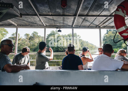 Swamp Tour in New Orleans Stock Photo