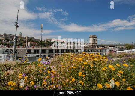 Chain Bridge (Széchenyi Lánchíd) connects Buda and Pest across the River Danube and view of the Royal Palace in Budapest, Hungary, Eastern Europe Stock Photo