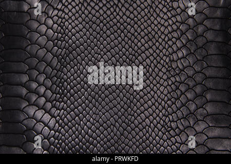 Background texture black leather reptiles Stock Photo