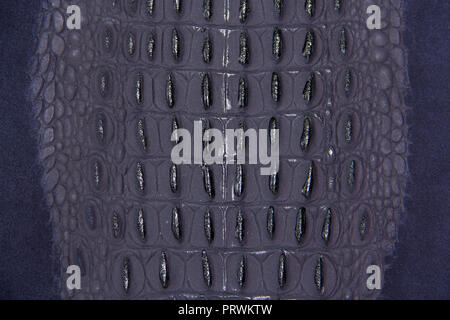 Blue skin texture reptile with suede. Closeup. Stock Photo