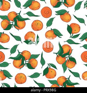 Vector illustration. Hand drawn Mandarins, clementines, citrus. Mandarin seamless pattern. Stock Vector