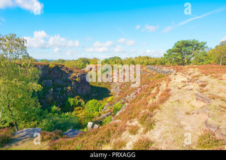 Long, narrow and overgrown gritstone quarry on Stanton Moor in Derbyshire Stock Photo