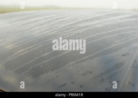 first class car polish after rain on black colored car Stock Photo
