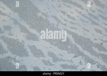 first class car polish after rain on black colored car Stock Photo