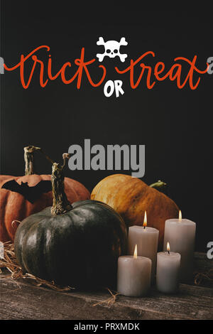 pumpkins, black paper bat and candles on table with skull and 'trick or treat' halloween lettering Stock Photo