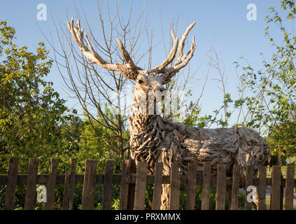 Driftwood stag sculpture by James Doran-Webb, old wooden picket fence, From Over the Fence garden, RHS Malvern Spring Festival 2018 Stock Photo