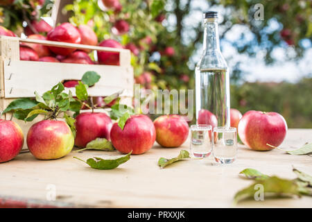 Two glasses and a bottle of apple brandy distillate with apples on garden table. Stock Photo