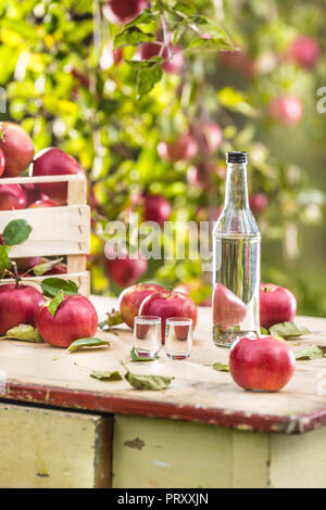 Two glasses and a bottle of apple brandy distillate with apples on garden table. Stock Photo