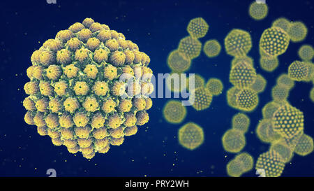 Herpes virus , Viral disease infection Stock Photo