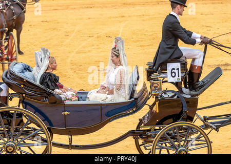 Seville, Spain - April  15, 2018: Women carries the traditional spanish head coverage called mantilla in a Horse drawn carriage in Seville April Fair  Stock Photo