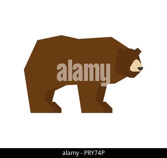 Bear isolated. Grizzly forest predator beast. Vector Stock Vector