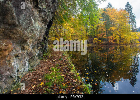 Autumn in a small beech tree forest at Nordaasvannet Lake in Fana, Bergen, Norway Stock Photo