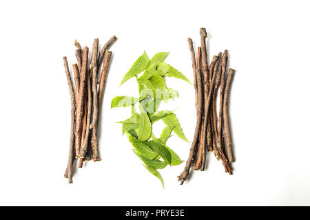 Neem wood with neem leaves in center. Isolated on white background. Stock Photo