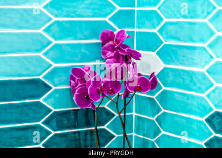 purple orchid on background of squared mosaic tiles Stock Photo