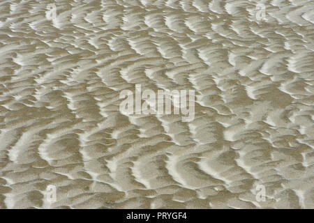 Sand surface formed by wind and tidal current in the mud flats, North Sea coast, Schleswig-Holstein, Germany Stock Photo