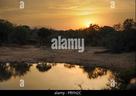 A beautiful sunset at a water hole at Kapama Game reserve safari, Kruger National Park, Africa Stock Photo