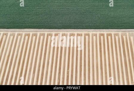USA, Aerial of a harvested farm field next to a field of corn Stock Photo