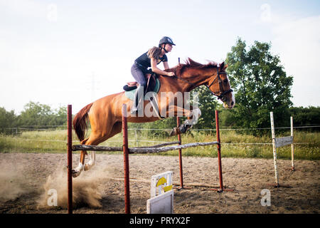 Young female jockey on horse leaping over hurdle Stock Photo