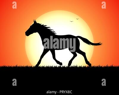 Silhouette of a running horse on sunset background Stock Vector